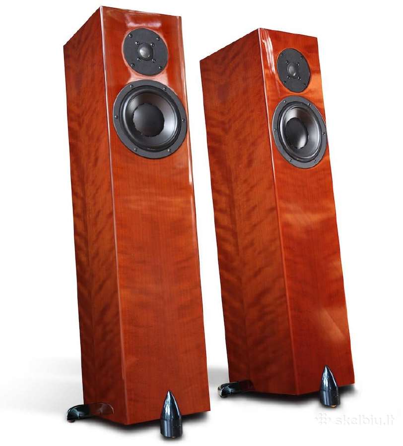 Hivi Acoustics & Swan Speakers - nuotraukos Nr. 13