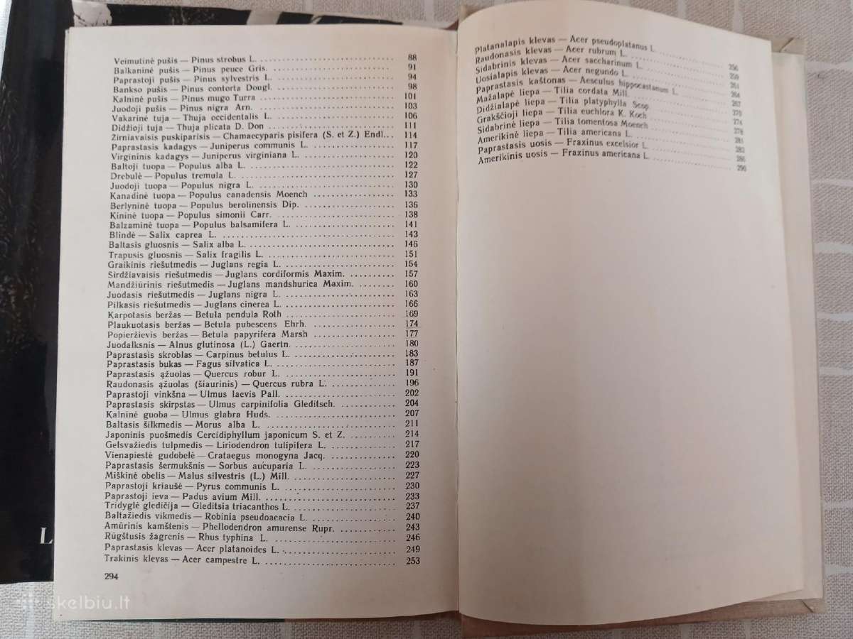 Knyga mokslinė apie Lietuvos medžius - nuotraukos Nr. 7