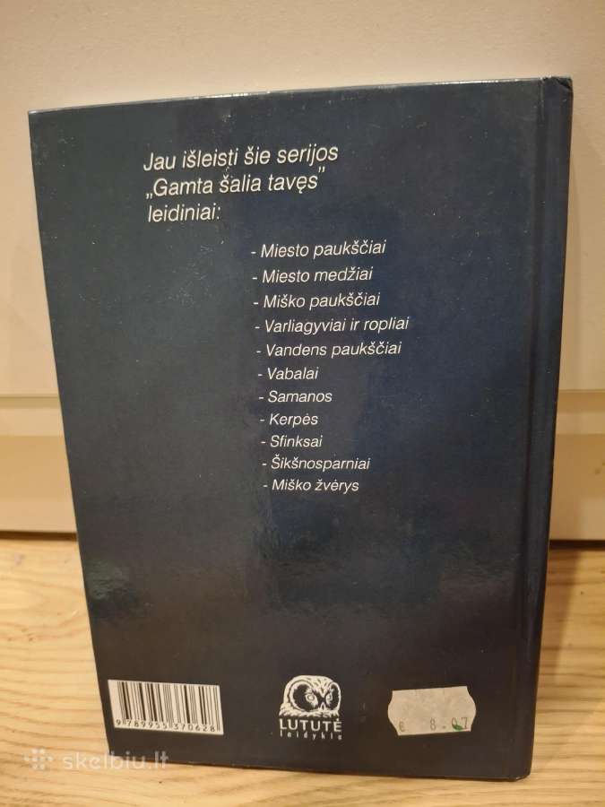 Paukščiai - nuotraukos Nr. 2