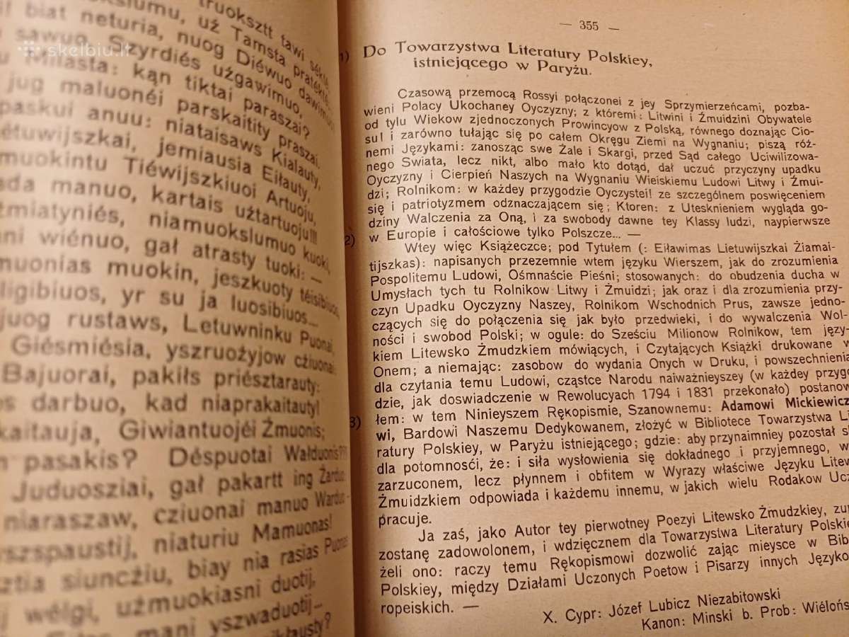 Parduodu knyga tauta ir žodis,1930m - nuotraukos Nr. 13