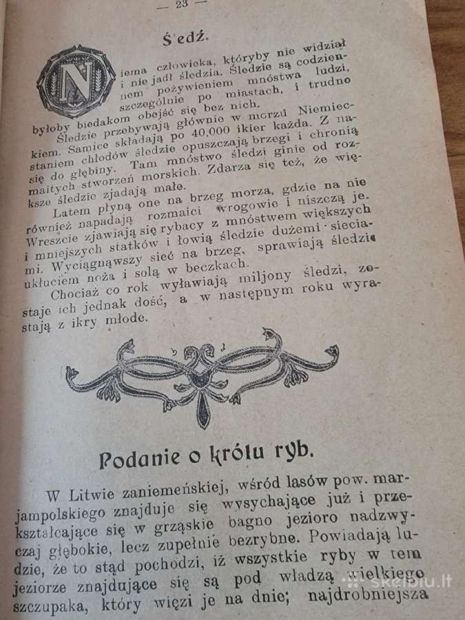 1923 m.knyga lenkų kalba "Nowe czytanki" - nuotraukos Nr. 3