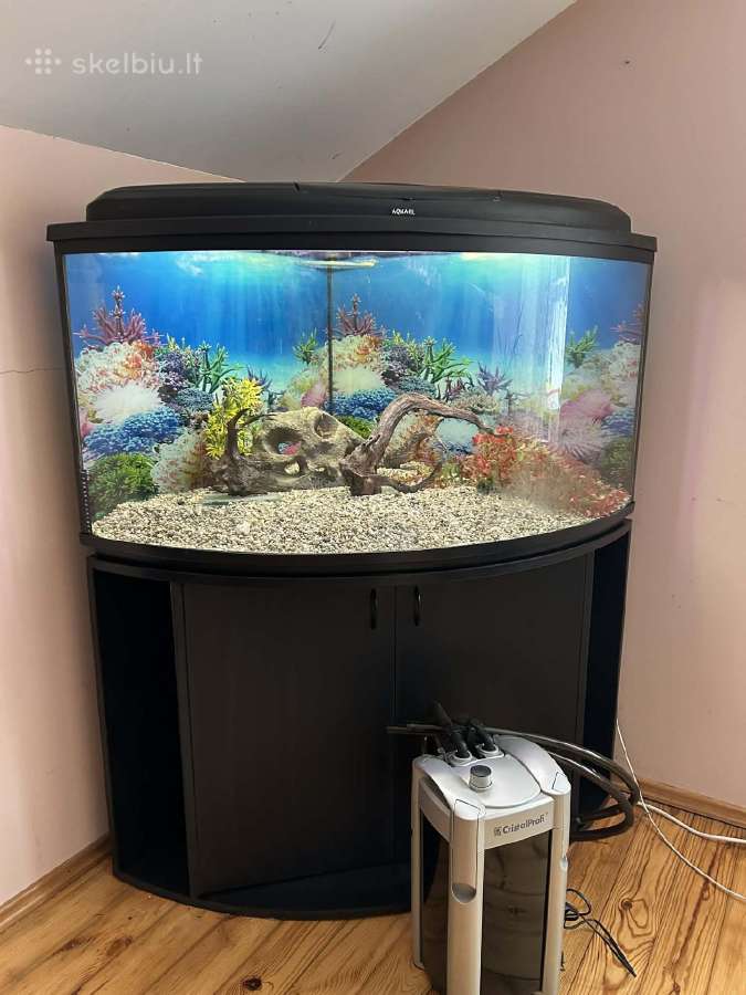 Kampinis akvariumas su spintele