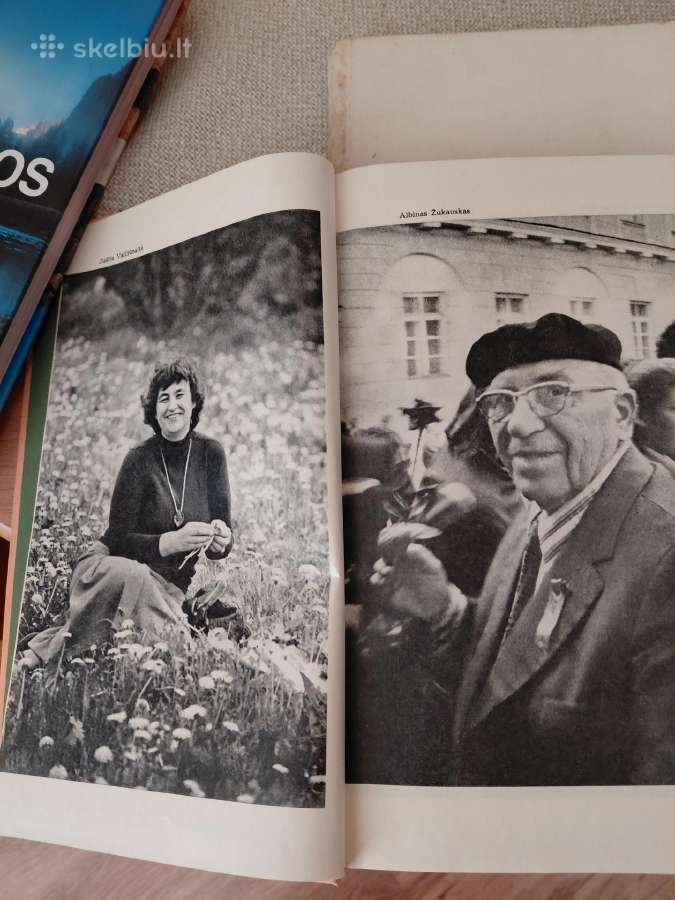 Knyga Poezijos Pavasaris 87 - nuotraukos Nr. 2