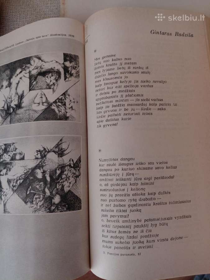Knyga Poezijos Pavasaris 87 - nuotraukos Nr. 11