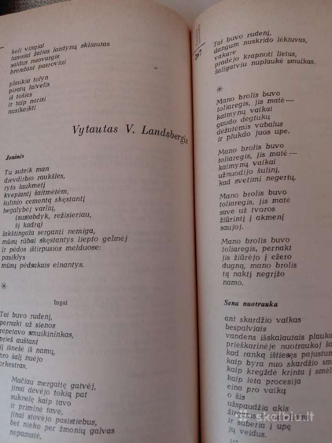 Knyga Poezijos Pavasaris 87 - nuotraukos Nr. 12