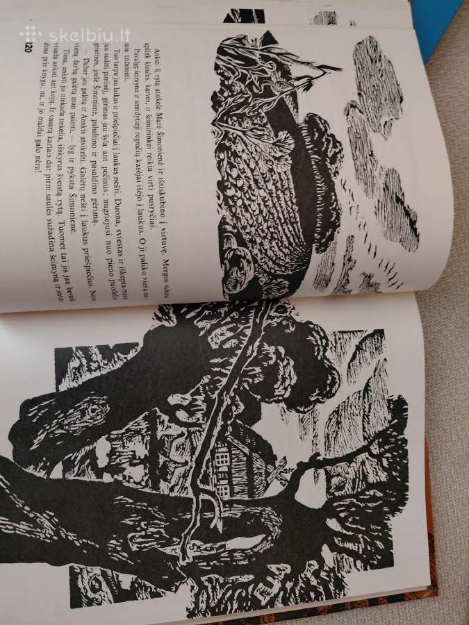 Aukštūjų Šimonių Likimas,e.simonaitytė - nuotraukos Nr. 6