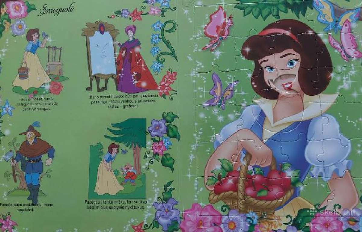 Dėlionė Princesės - nuotraukos Nr. 5
