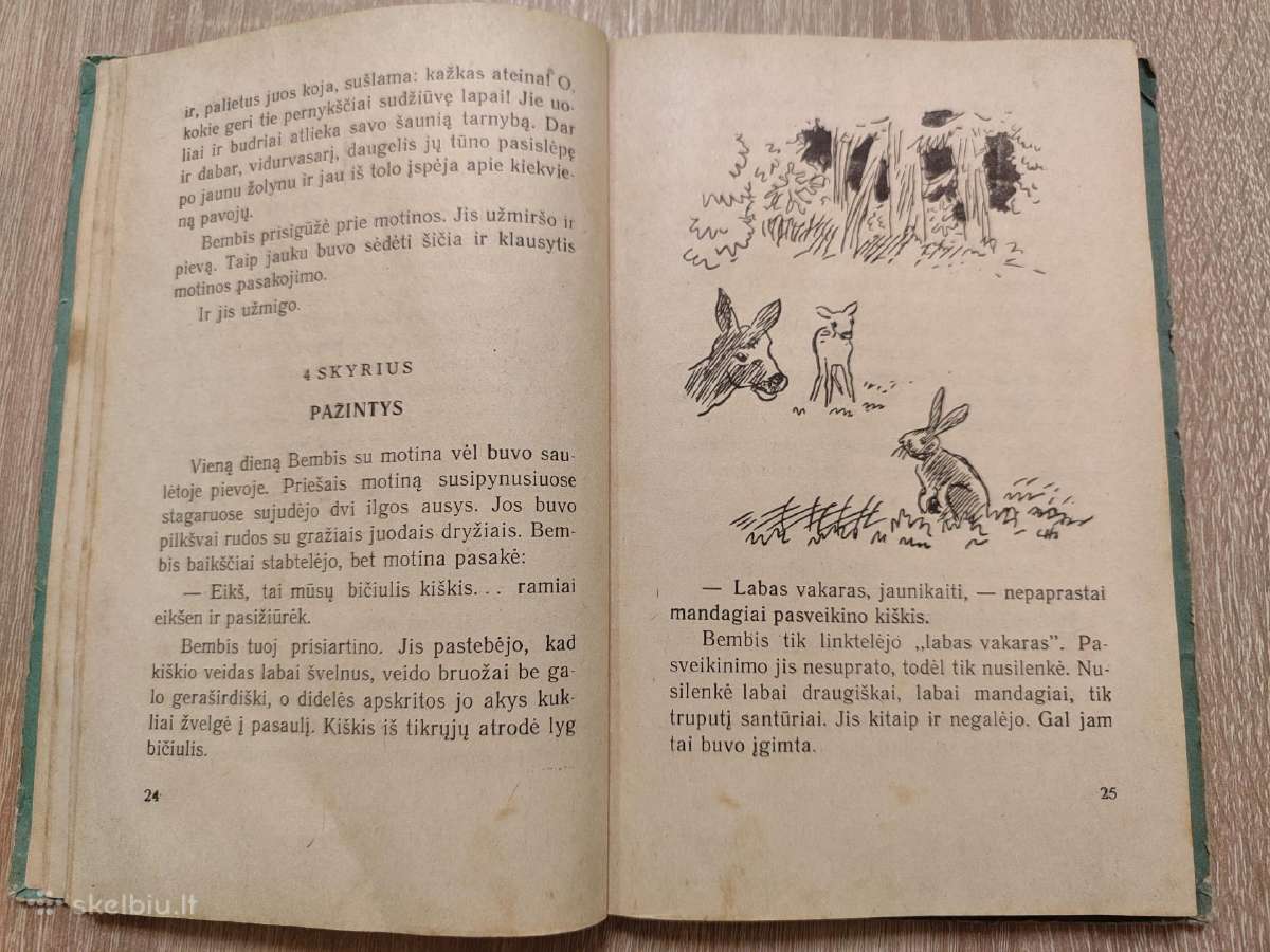 Knygos Merė Popins ir Bembis - nuotraukos Nr. 3