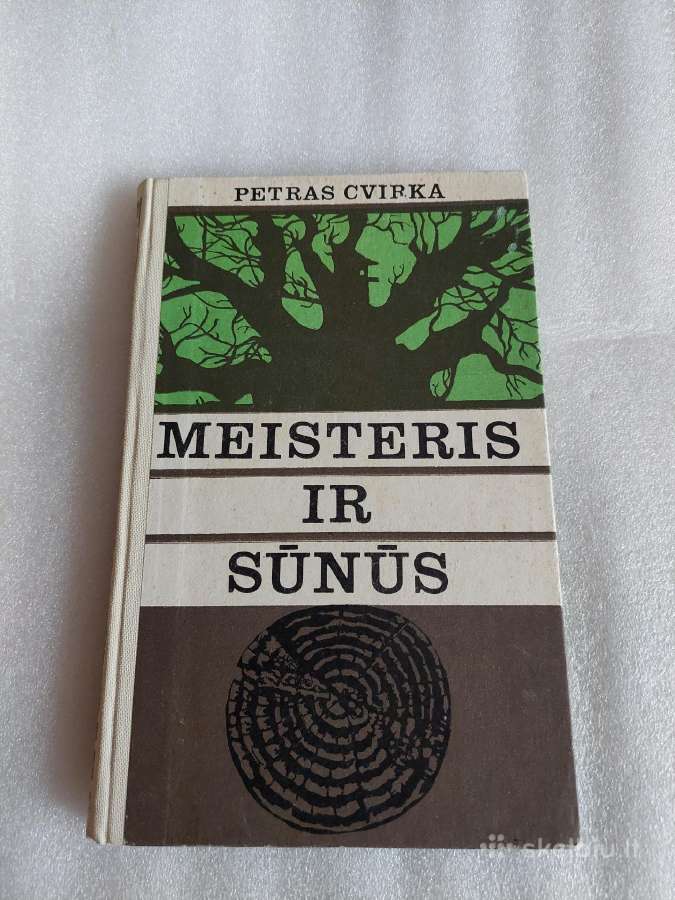 Meisteris ir sūnūs