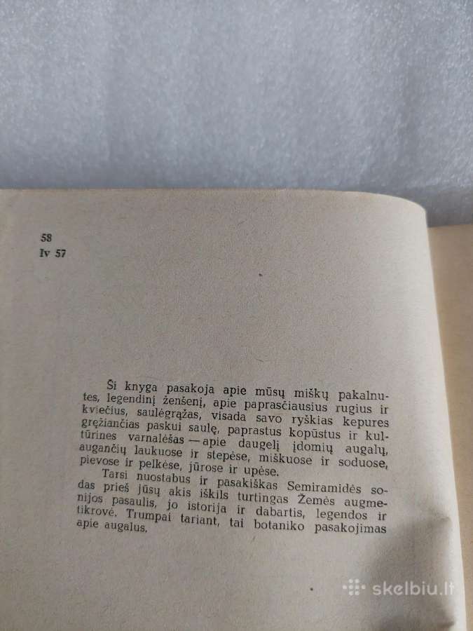 Įdomioji botanika - nuotraukos Nr. 3