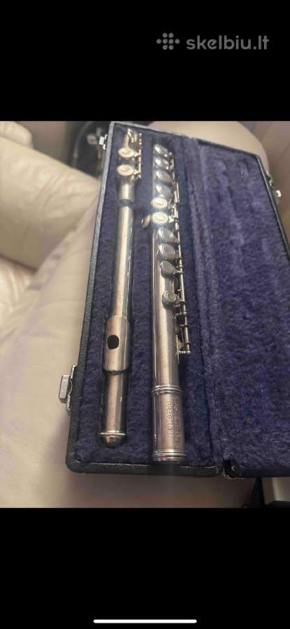 Klarnetas, Fleita , Casio Dh-100, Miraphone 1-k - nuotraukos Nr. 15