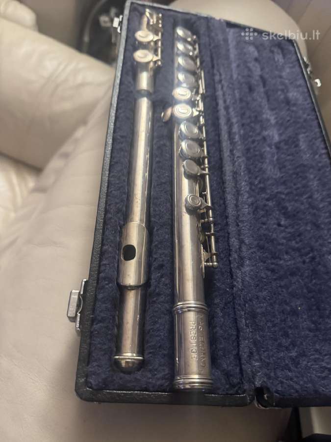 Klarnetas, Fleita , Casio Dh-100, Miraphone 1-k - nuotraukos Nr. 17