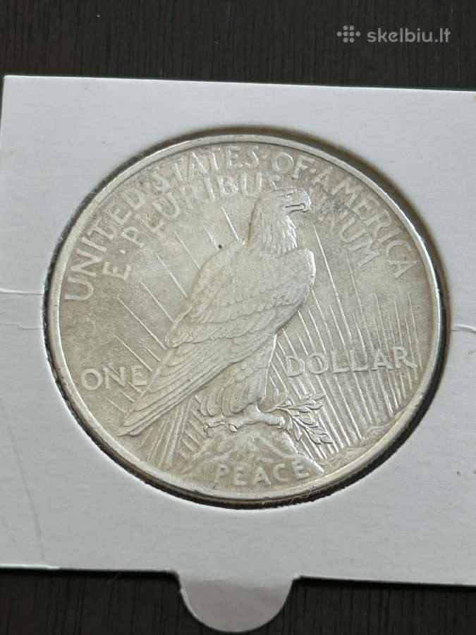Sidabrinis Doleris 1924