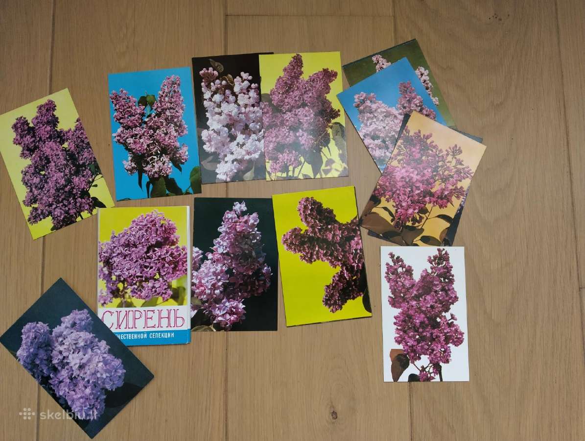 Vintažinių atvirukų rinkinys-alyvos