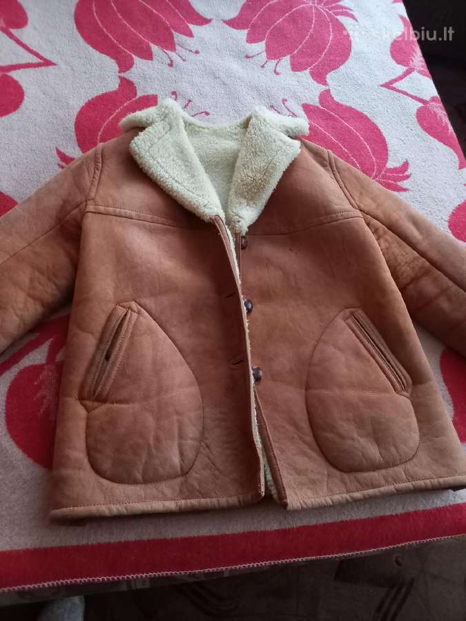 Paltas