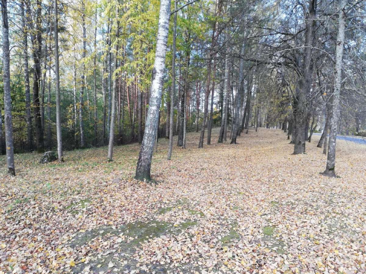 Gamtos, ramybės ir privatumo mėgėjams - nuotraukos Nr. 3