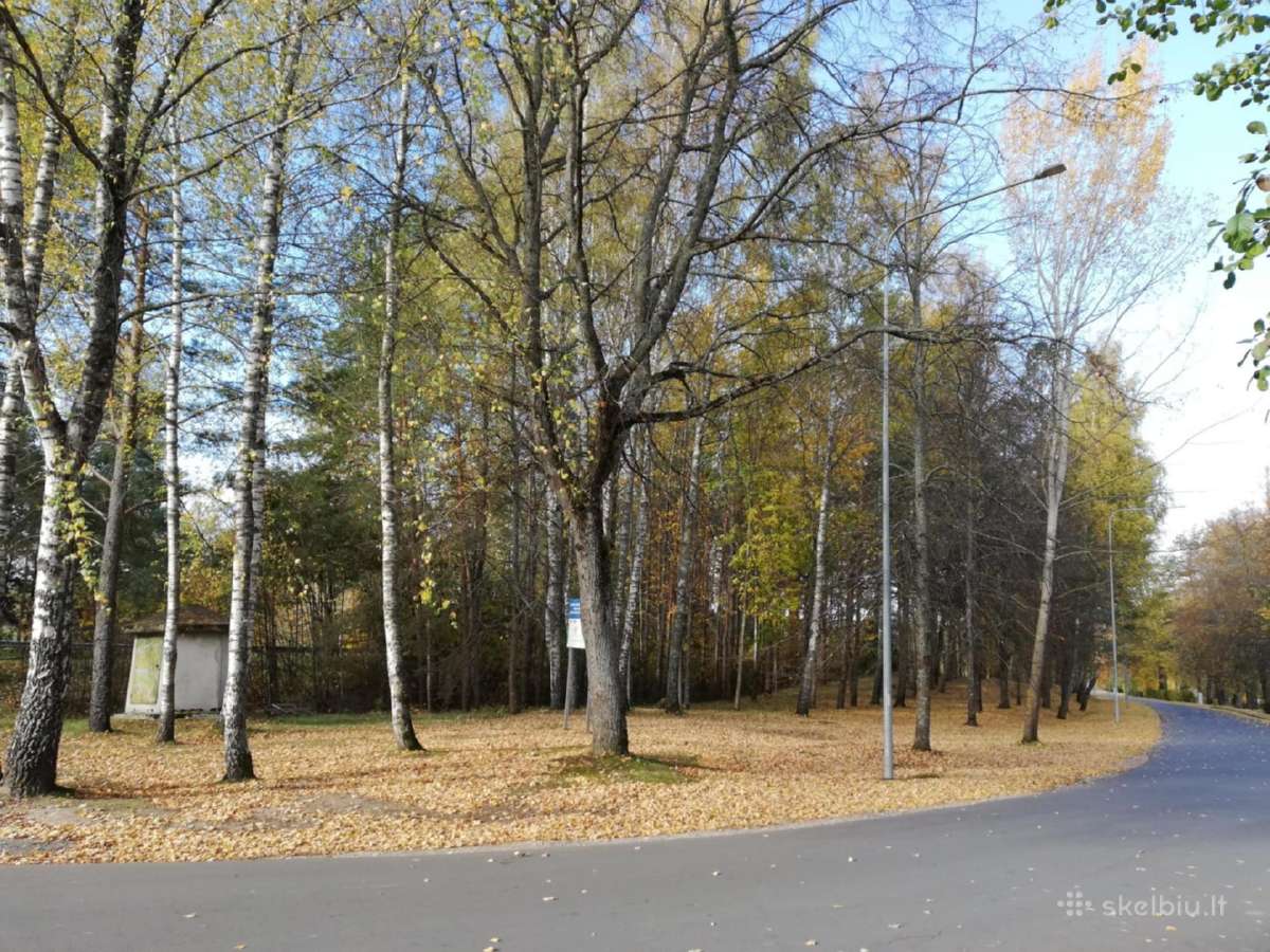 Gamtos, ramybės ir privatumo mėgėjams - nuotraukos Nr. 4