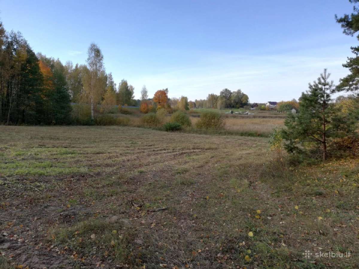 Gamtos, ramybės ir privatumo mėgėjams - nuotraukos Nr. 7