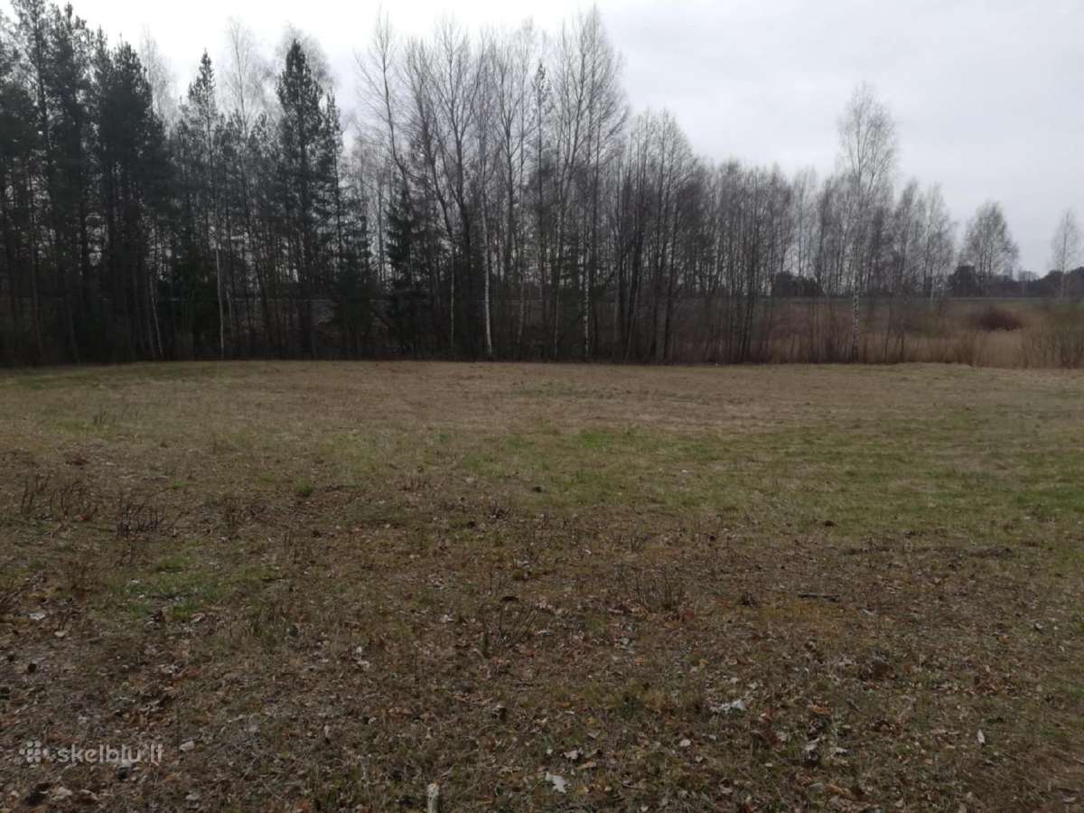 Gamtos, ramybės ir privatumo mėgėjams - nuotraukos Nr. 8