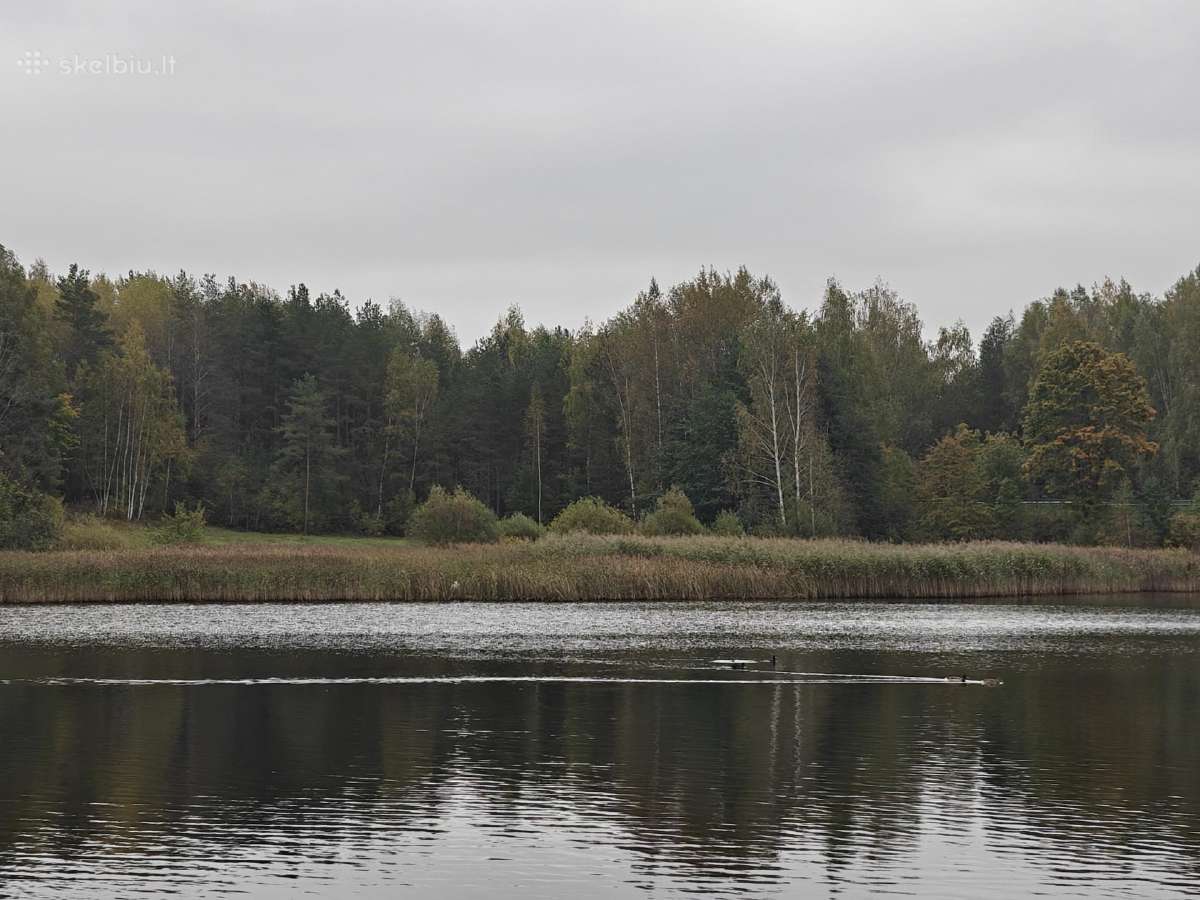 Gamtos, ramybės ir privatumo mėgėjams - nuotraukos Nr. 12