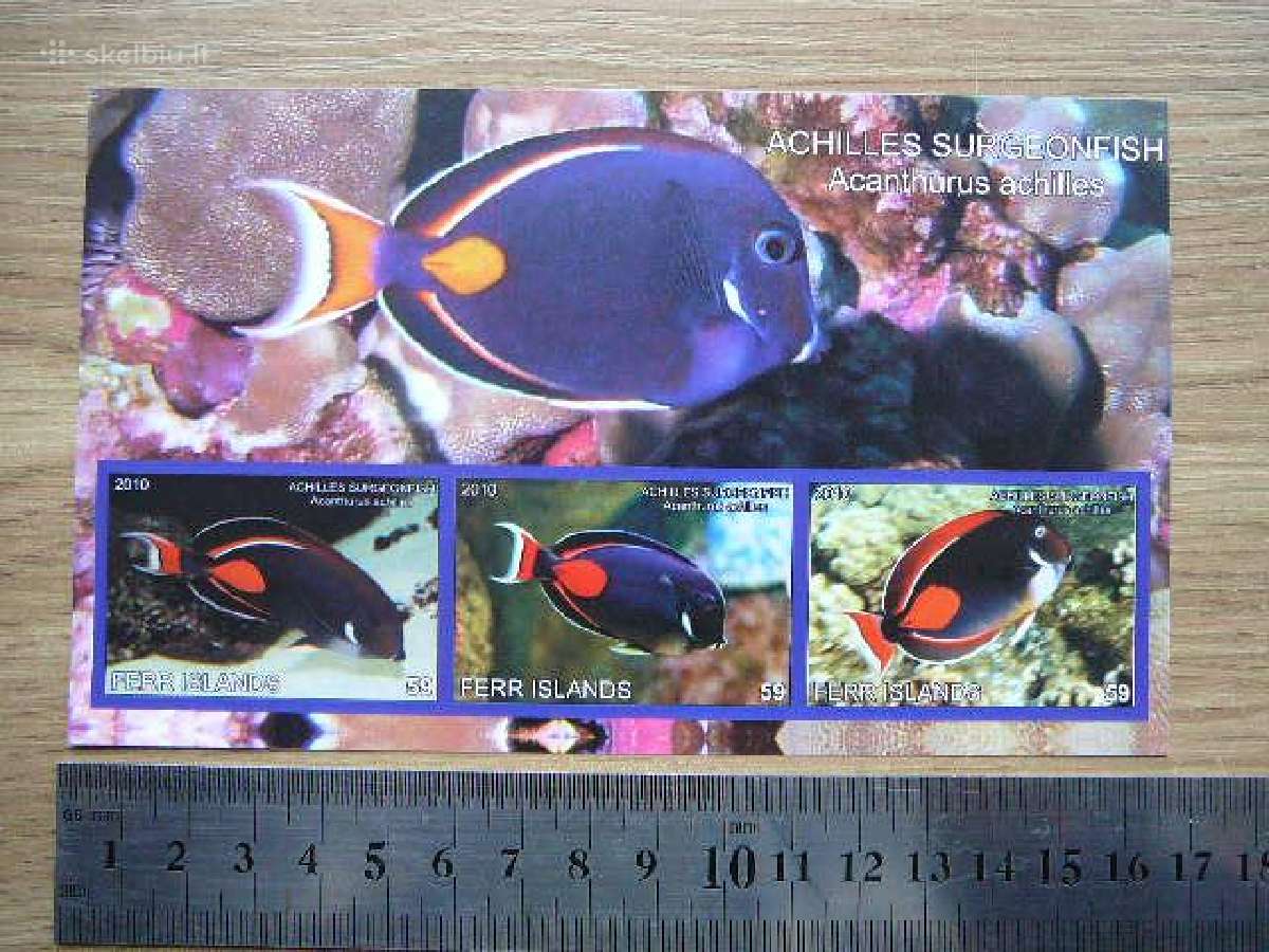 Zuvys 2010 svarus ferr35