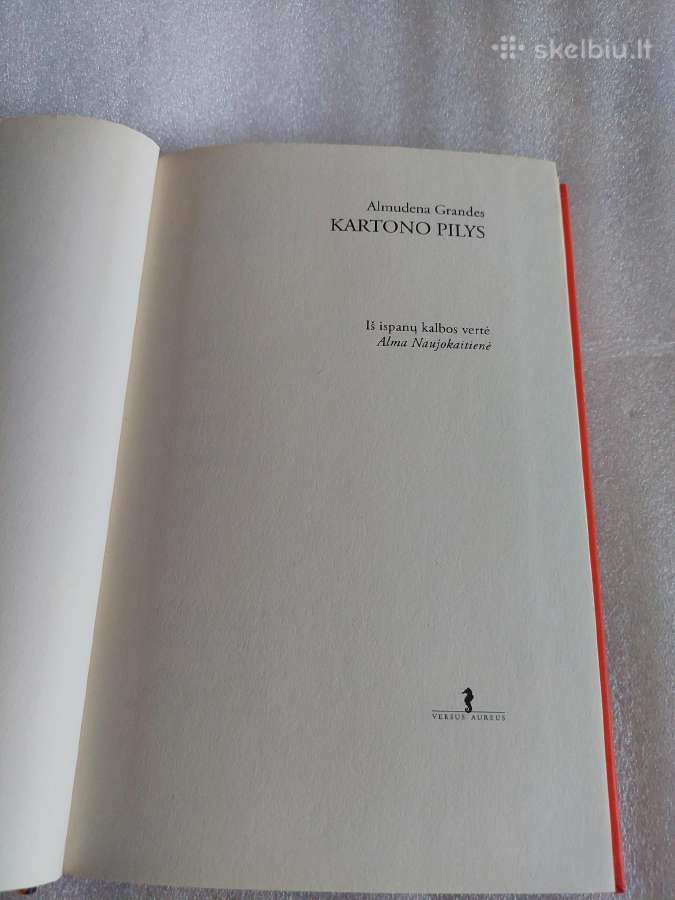 Kartono pilys - nuotraukos Nr. 2