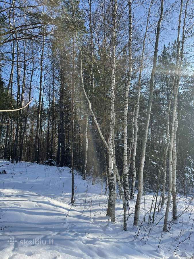 Gamtos, ramybės ir privatumo mėgėjams - nuotraukos Nr. 14