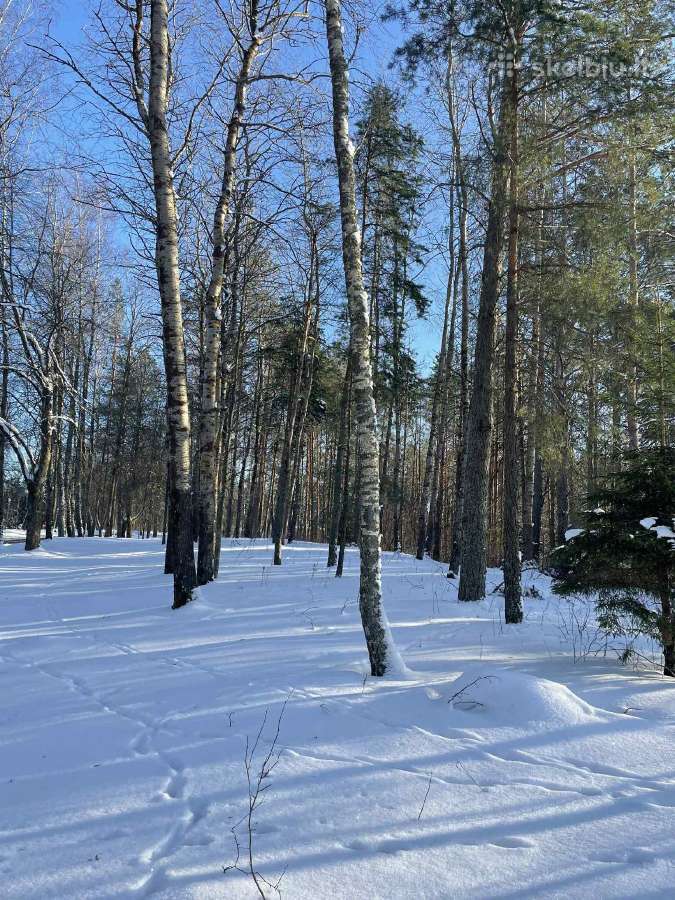 Gamtos, ramybės ir privatumo mėgėjams - nuotraukos Nr. 16