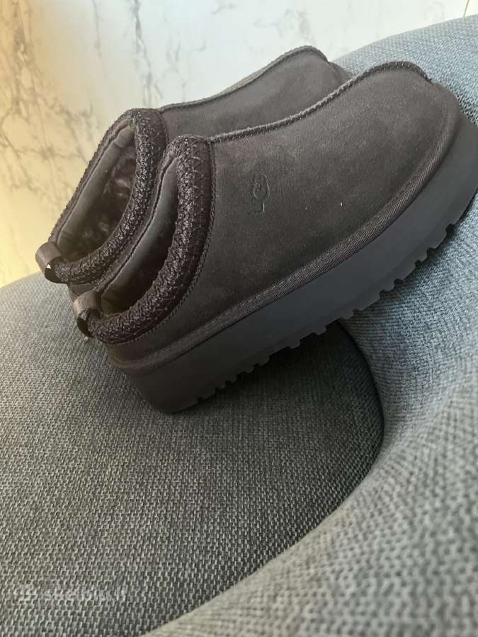Ugg tazz choholate