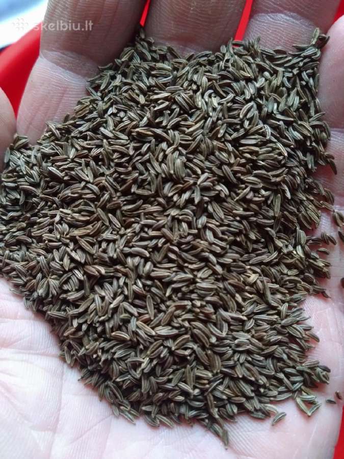 Kmynai 99.8%, 2,8 eur/kg