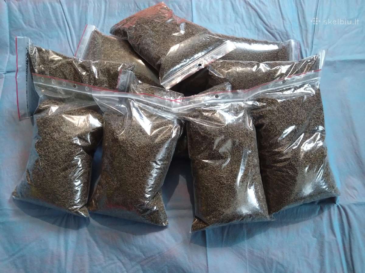 Kmynai 99.8%, 2,8 eur/kg - nuotraukos Nr. 2
