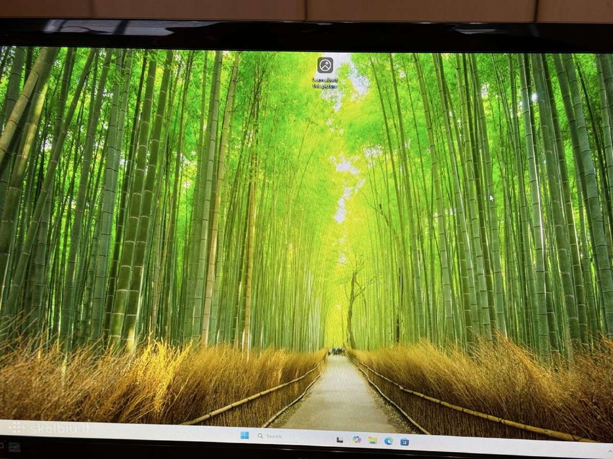 Samsung S24b300b 1080p/60hz monitorius - nuotraukos Nr. 16