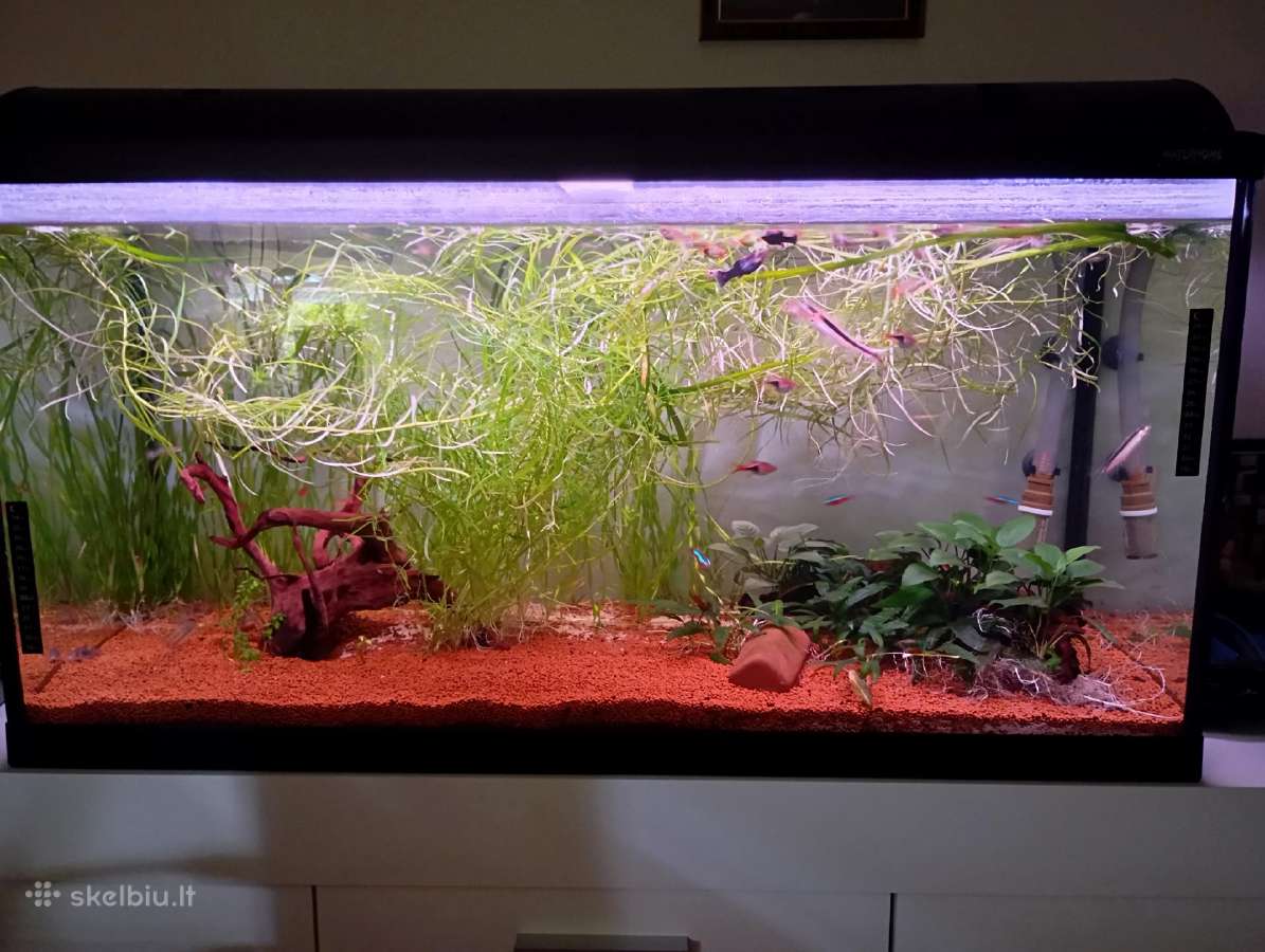 Parduodu 3 akvariumus