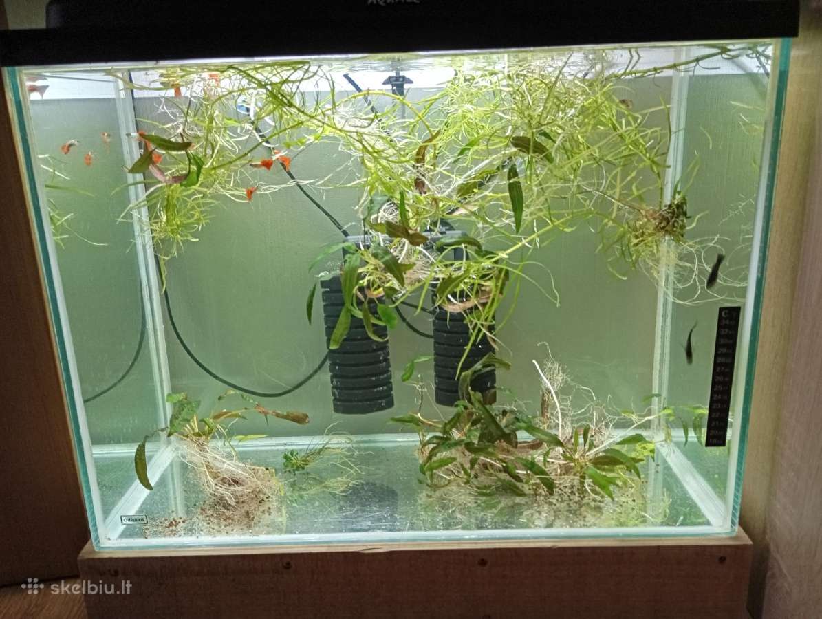 Parduodu akvariumą - nuotraukos Nr. 3
