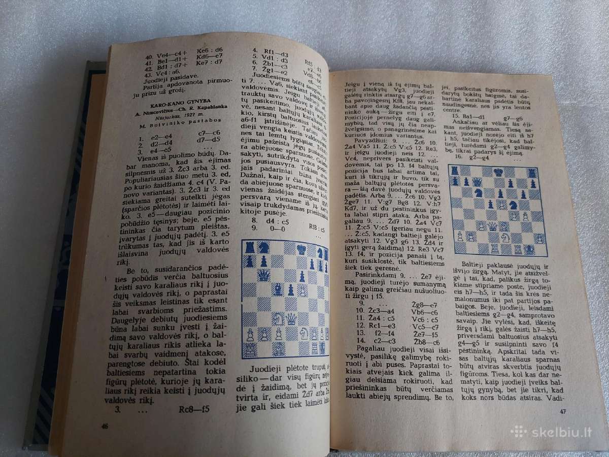 Rinktinės pasaulio čempionų partijos - nuotraukos Nr. 3