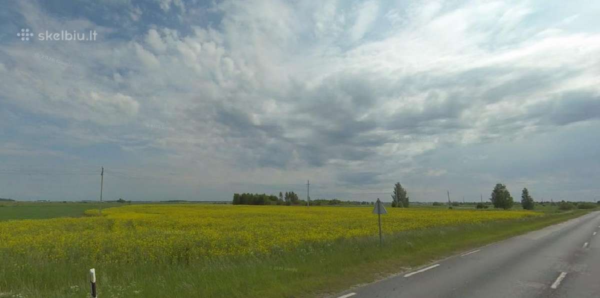 Parduodami ž.ū. paskirties sklypai 2,92 ha ploto - nuotraukos Nr. 4