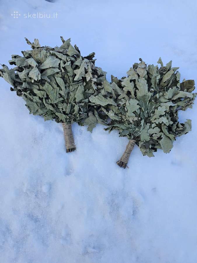 Parduodamos vantos (beržas, ąžuolas)
