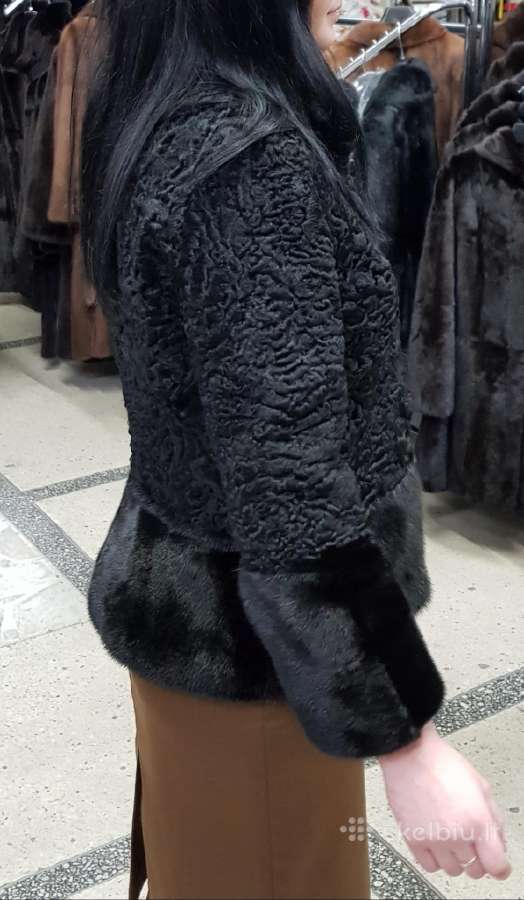 % Naujas Puskailinukas Norka ir Karakulis % - nuotraukos Nr. 5