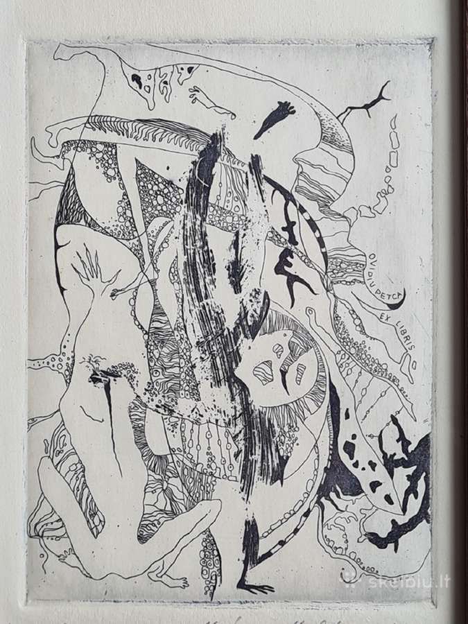 Marina Maksutova, Latvija. Grafika 1995 - nuotraukos Nr. 2