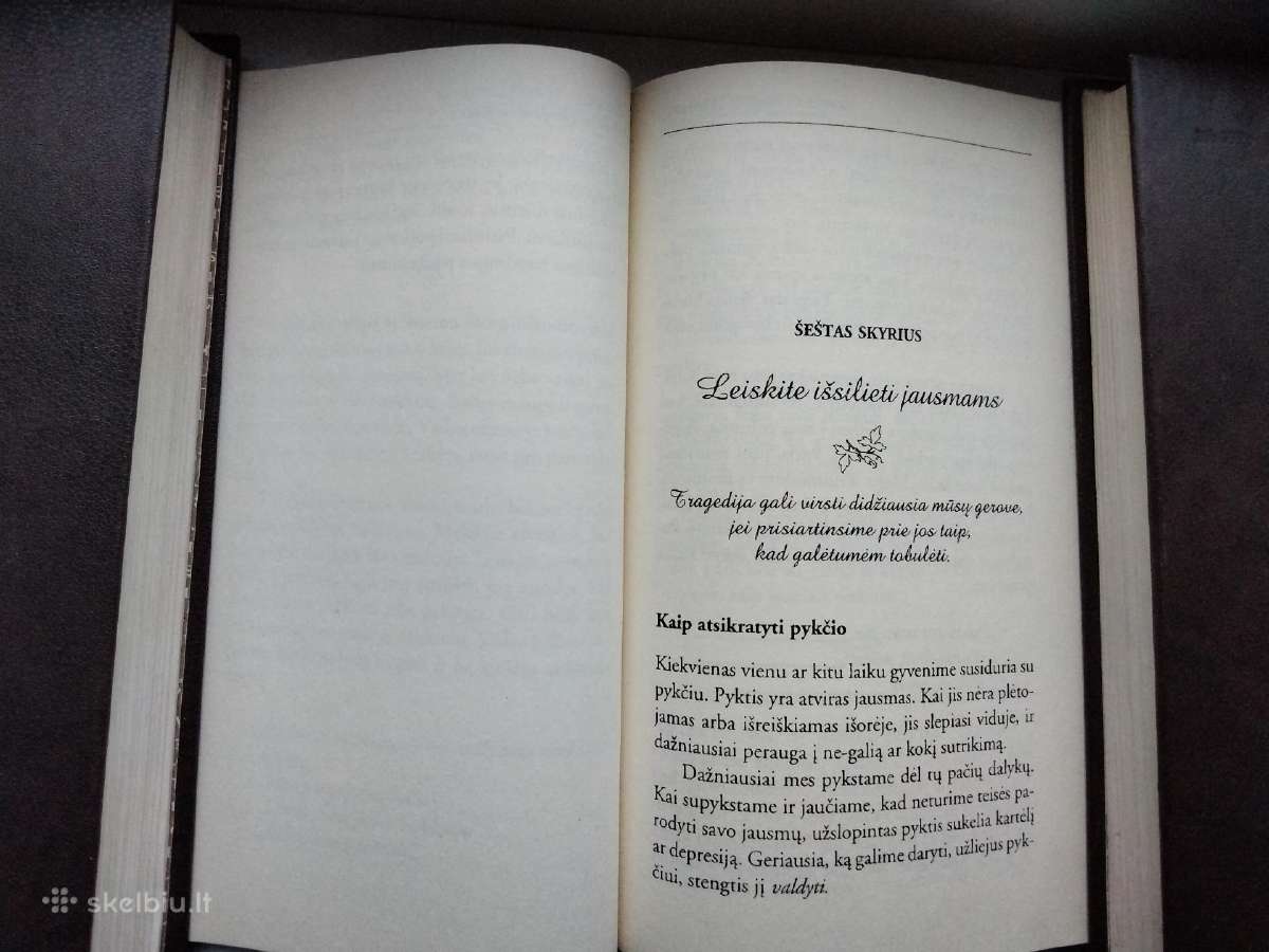 L .L. Hay. Tavyje glūdinti stiprybė - nuotraukos Nr. 10