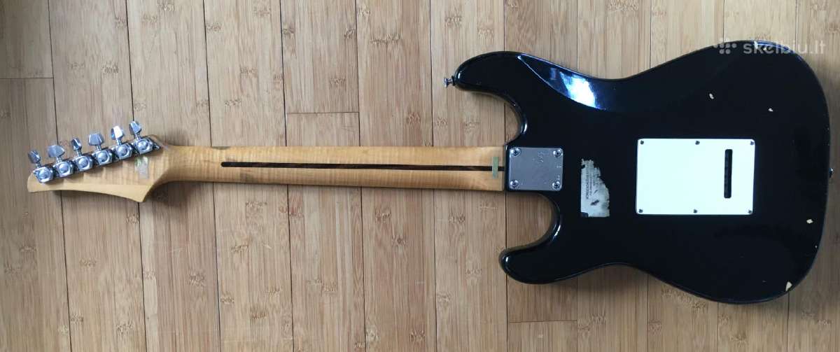 Washburn by Lyon - nuotraukos Nr. 5