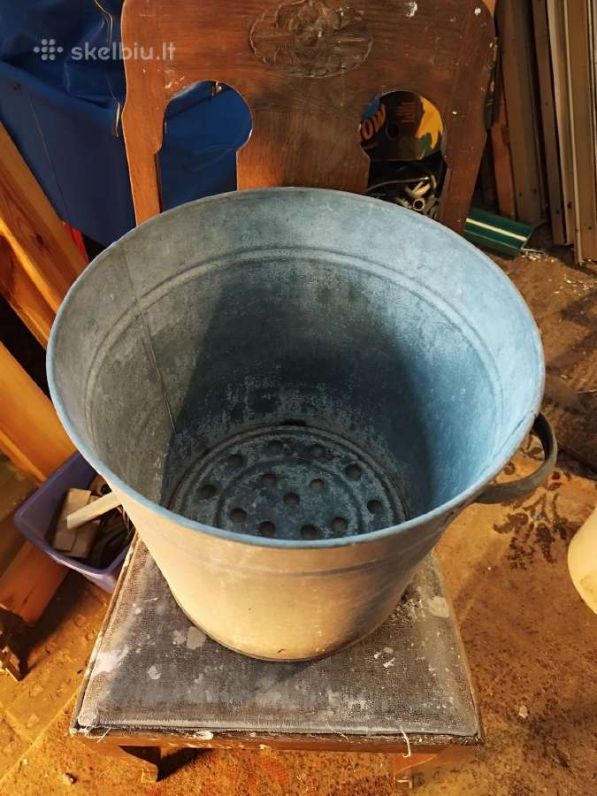 Kibiras didelis