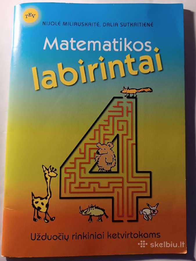 Matematikos labirintai
