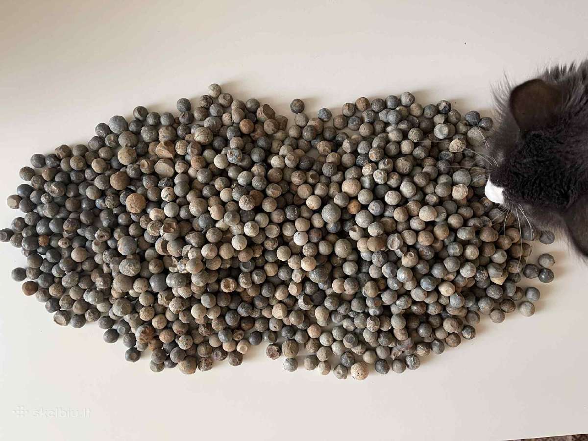 Srapneliai is Bombu,projektams,dekoracijoms 12,5kg