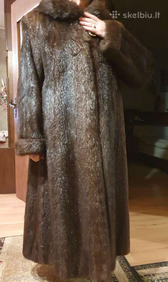 Bebro kailiniai, ilgi