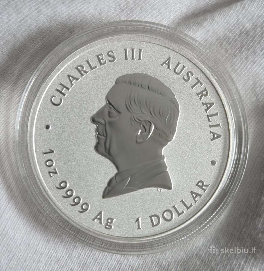 2025 Year of the Snake 1oz (Lunar III) colored - nuotraukos Nr. 2