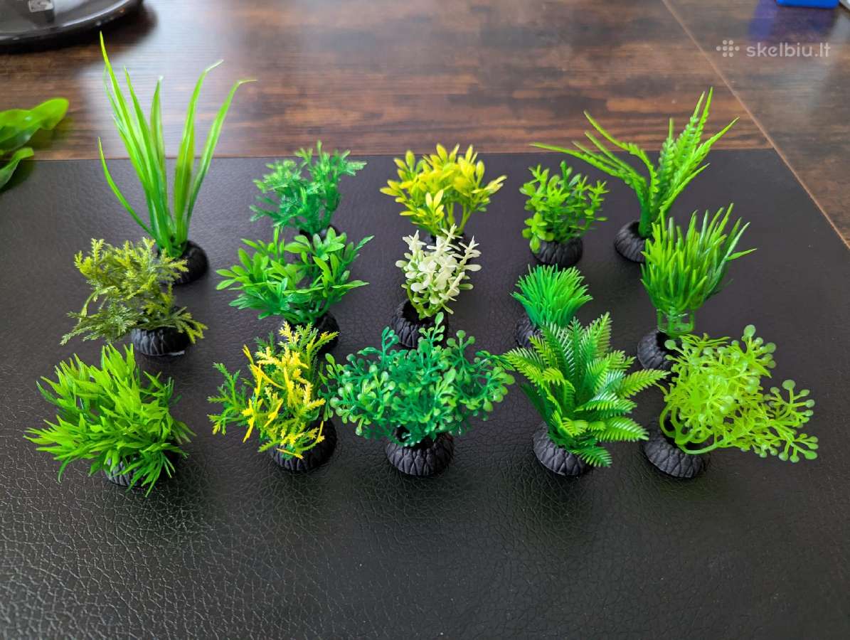 Dirbtiniai akvariumo augalai - nuotraukos Nr. 2
