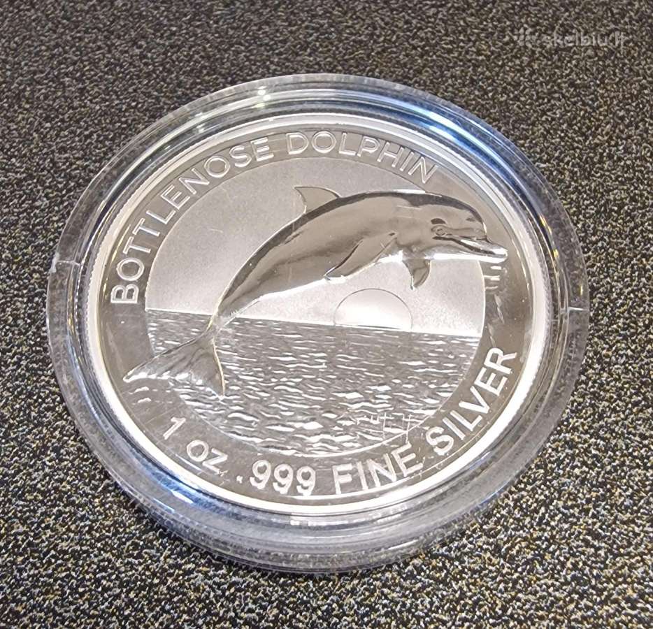 Sidabrinės 1oz monetos - nuotraukos Nr. 5