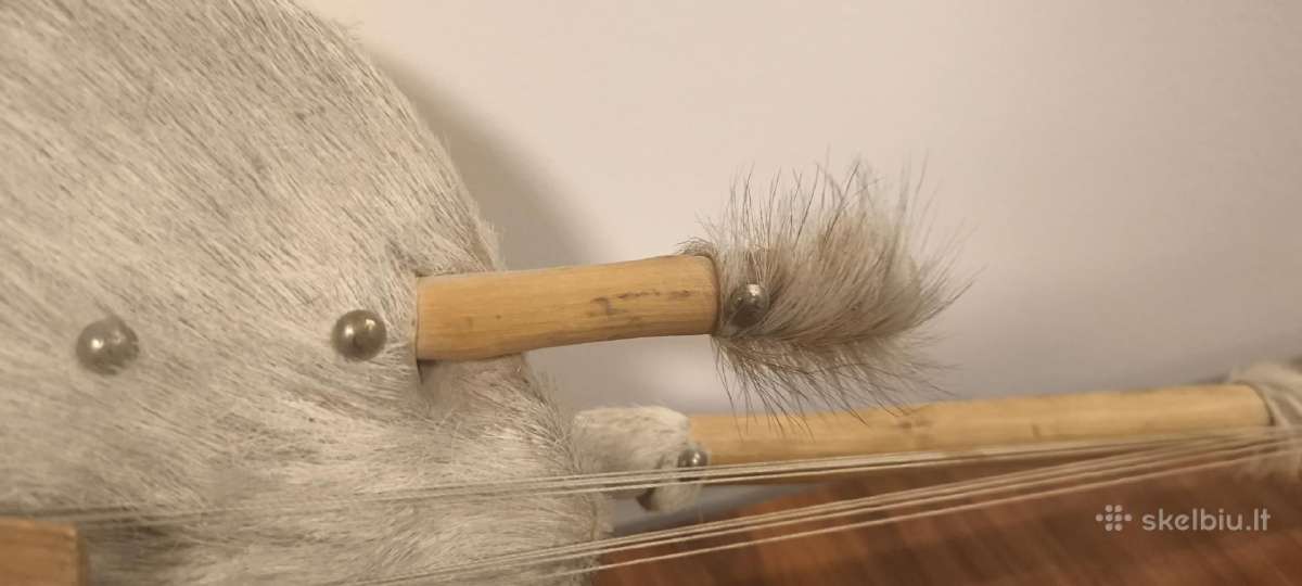 Styginis instrumentas Kora - nuotraukos Nr. 2