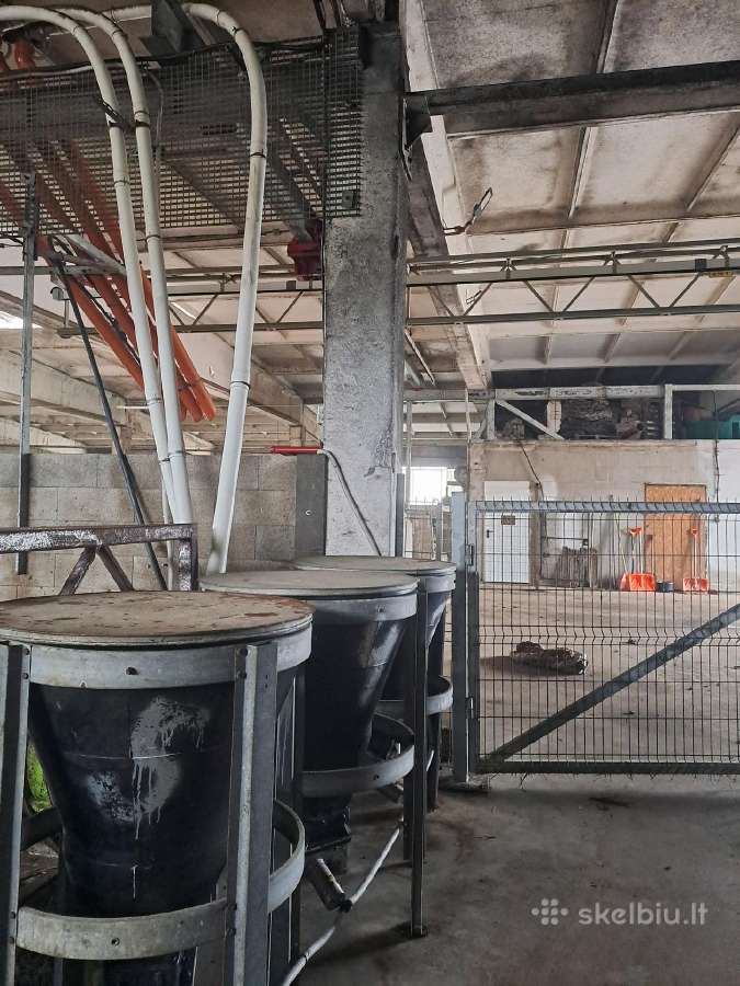 Lely Vector - atomatinė šėrimo sistema - nuotraukos Nr. 12